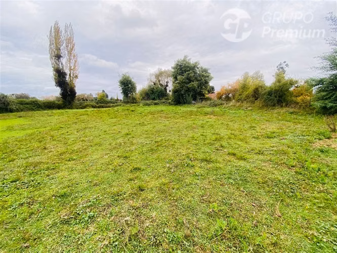 Terreno 5000m2 Sector Las Rastras Ranquimili - Imagen 2