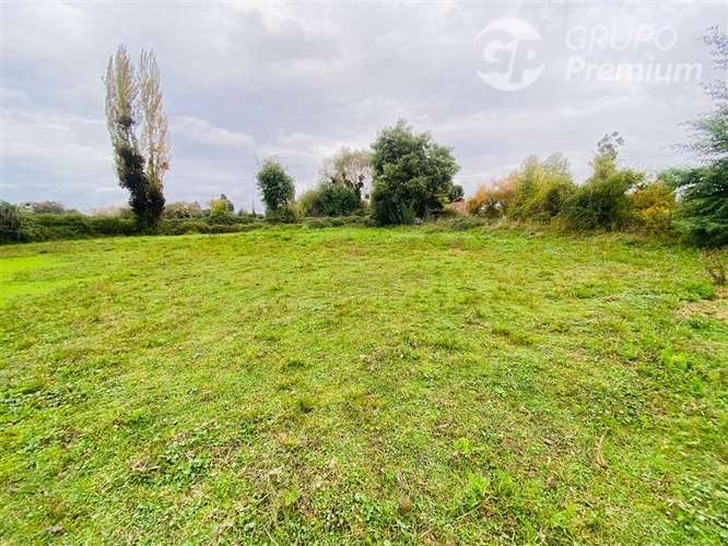 Terreno 5000m2 Sector Las Rastras Ranquimili - Imagen 2