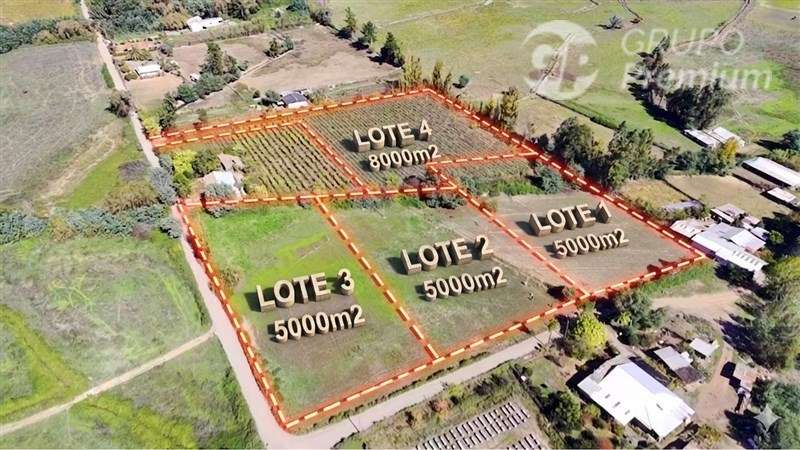 Terreno 5000m2 Sector Las Rastras Ranquimili - Imagen 3