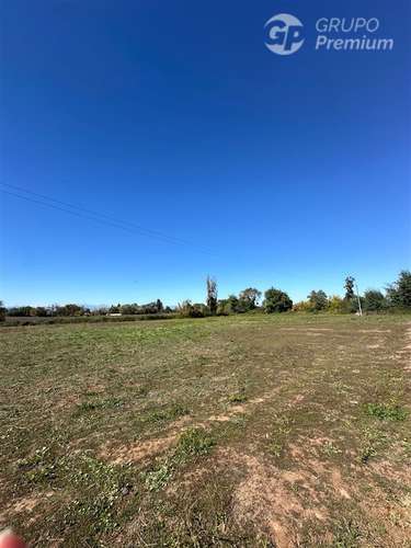 Terreno 5000m2 Sector Las Rastras Ranquimili - Imagen 6