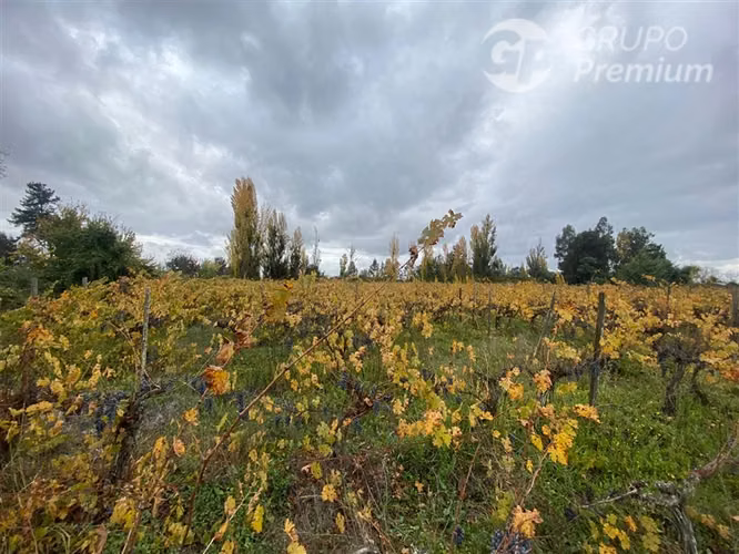 LOTE 8000M2 LAS RASTRAS RANQUIMILI