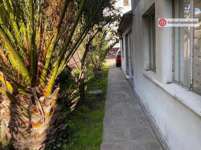 Depto Con Patio Exclusivo - Imagen 4