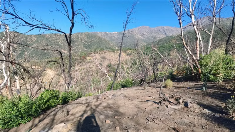 Sitio en Venta en San José de Maipo - Imagen 10