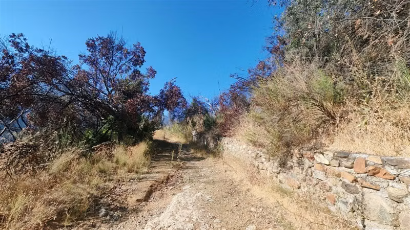 Sitio en Venta en San José de Maipo - Imagen 14