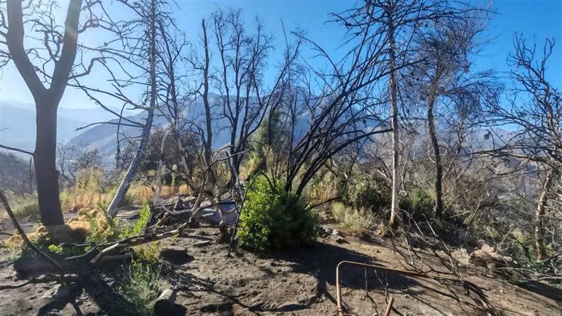 Sitio en Venta en San José de Maipo - Imagen 13