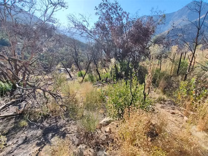 Sitio en Venta en San José de Maipo - Imagen 24