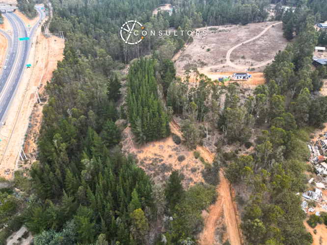 Venta Terreno Algarrobo - Sector El Totoral, El Quisco - Imagen 10