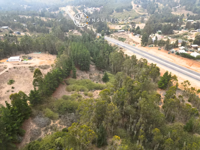 Venta Terreno Algarrobo - Sector El Totoral, El Quisco - Imagen 18
