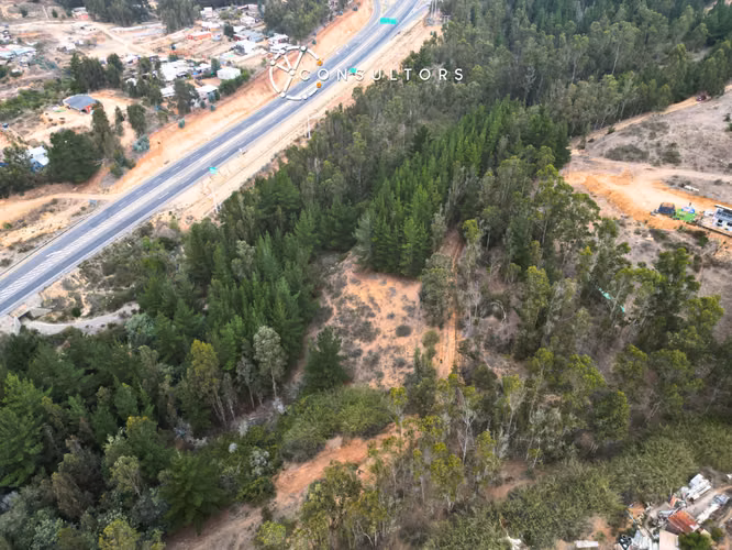 Venta Terreno Algarrobo - Sector El Totoral, El Quisco - Imagen 19