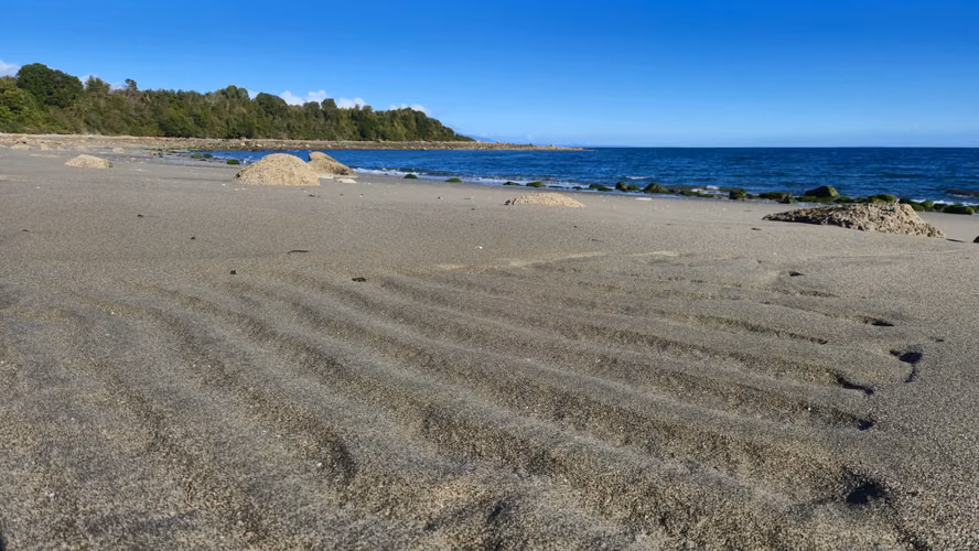 Casa 200 m² Con Piscina Quincho Y Playa 250 m (161441)