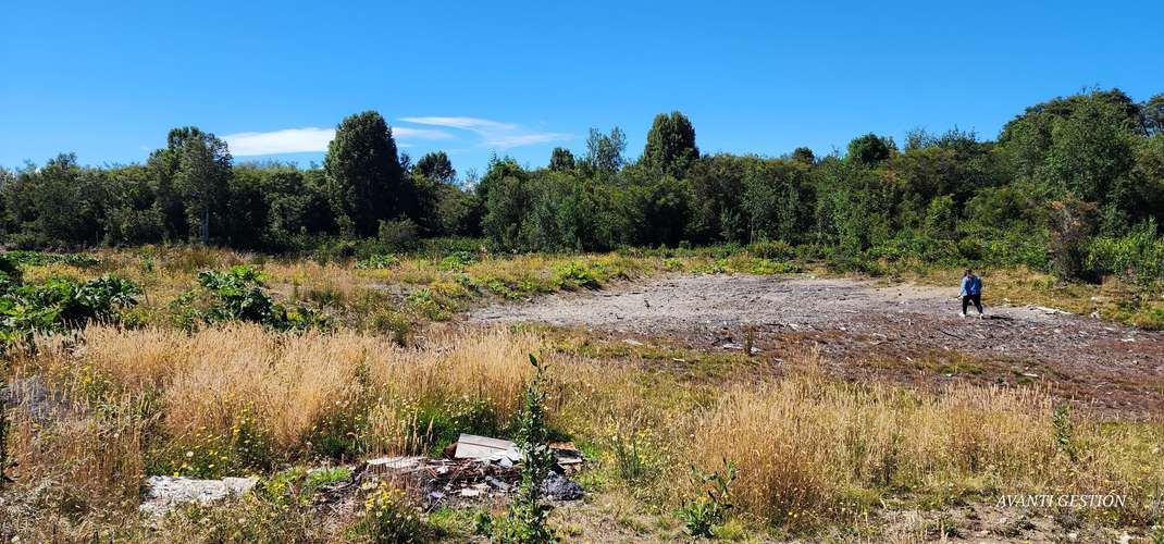 PARCELA EN VENTA SECTOR PELLUCO ALTO - Imagen 22