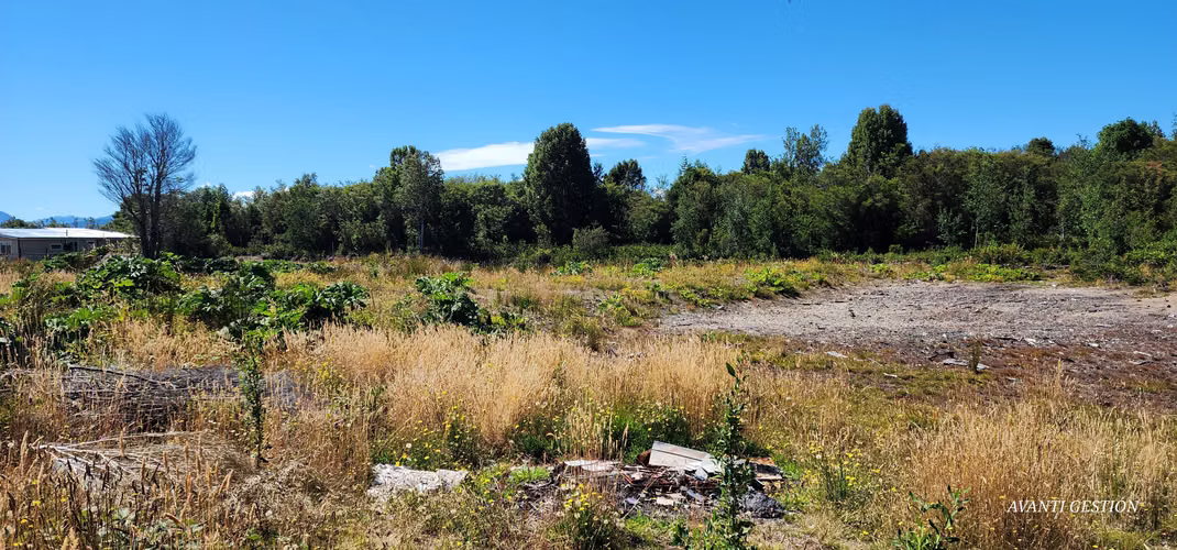 VENTA DE PARCELA CERCA SAN JAVIER PELLUCO ALTO - Imagen 23