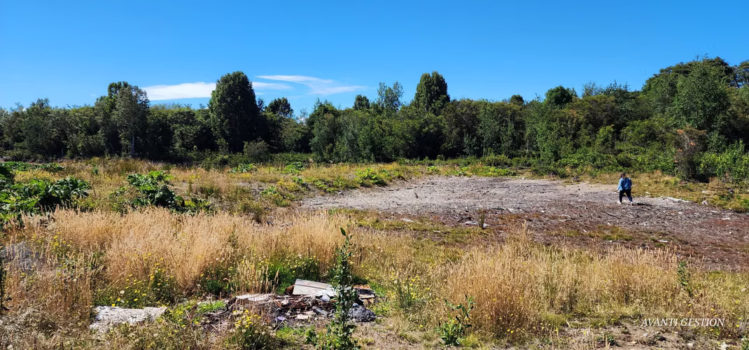 VENTA DE PARCELA CERCA SAN JAVIER PELLUCO ALTO - Imagen 22