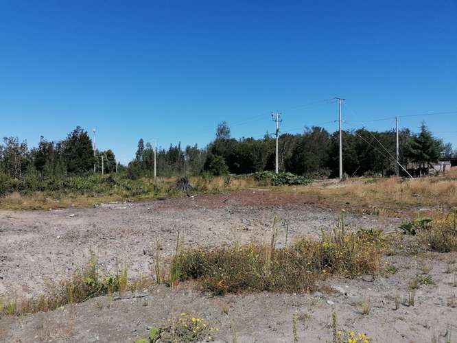 PARCELA EN VENTA SECTOR PELLUCO ALTO - Imagen 5