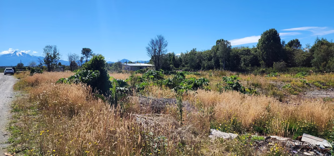 VENTA DE PARCELA CERCA SAN JAVIER PELLUCO ALTO - Imagen 24