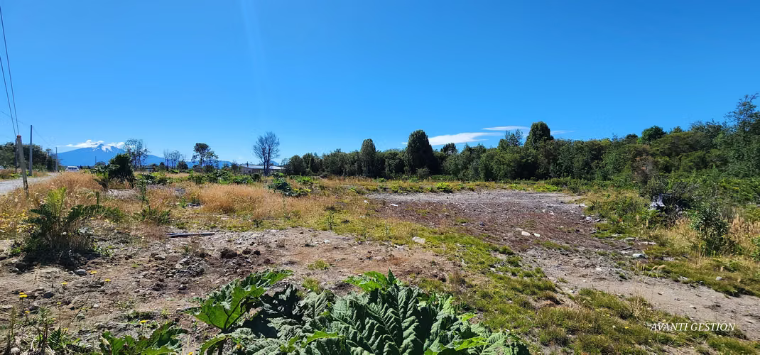 VENTA DE PARCELA CERCA SAN JAVIER PELLUCO ALTO - Imagen 29