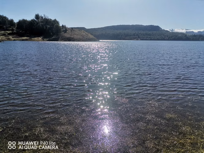 PARCELA 5000MT2  A 15 MT LAGO POLLUX - Imagen 11