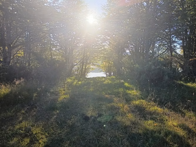 TERRENO  5000 MT2  LAGO POLLUX
