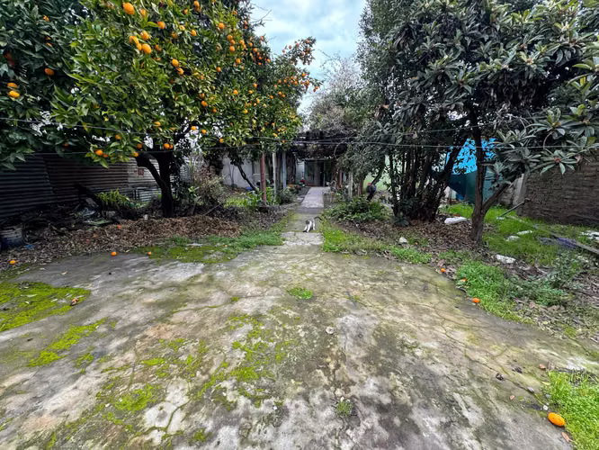 Venta terreno centro de Talca 10 oriente (161512) - Imagen 9