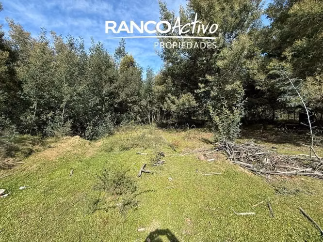 Parcela en venta en Quillón, acceso a estero, sector Chancal