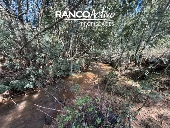 Parcela en venta en Quillón, acceso a estero, sector Chancal