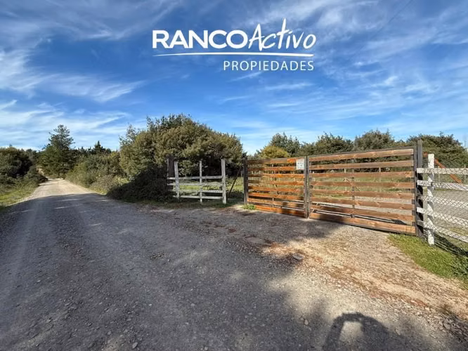 Parcela en venta en Quillón, acceso a estero, sector Chancal