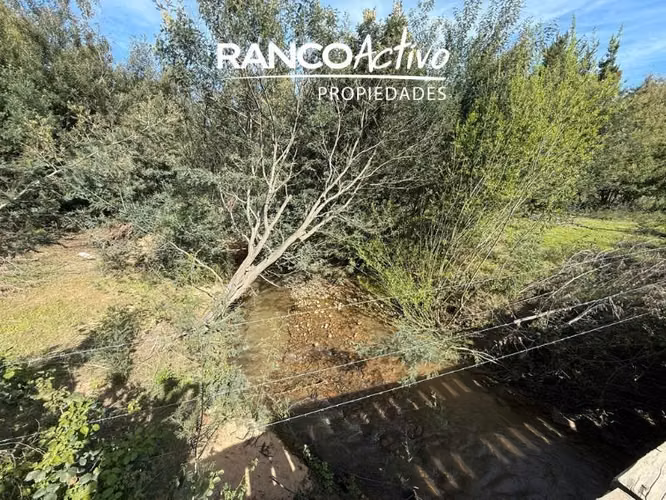 Parcela en venta en Quillón, acceso a estero, sector Chancal