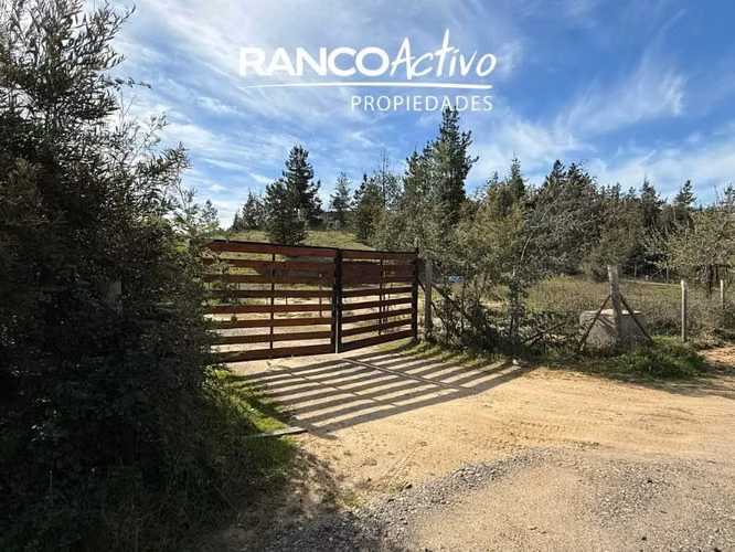 Parcela en venta en Quillón, acceso a estero, sector Chancal