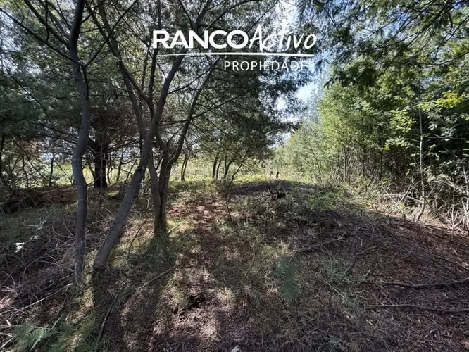 Parcela en venta en Quillón, acceso a estero, sector Chancal