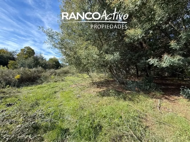 Parcela en venta en Quillón, acceso a estero, sector Chancal