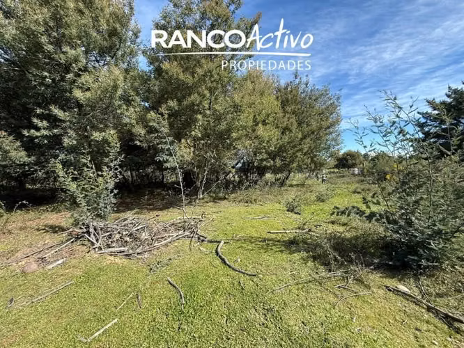 Parcela en venta en Quillón, acceso a estero, sector Chancal