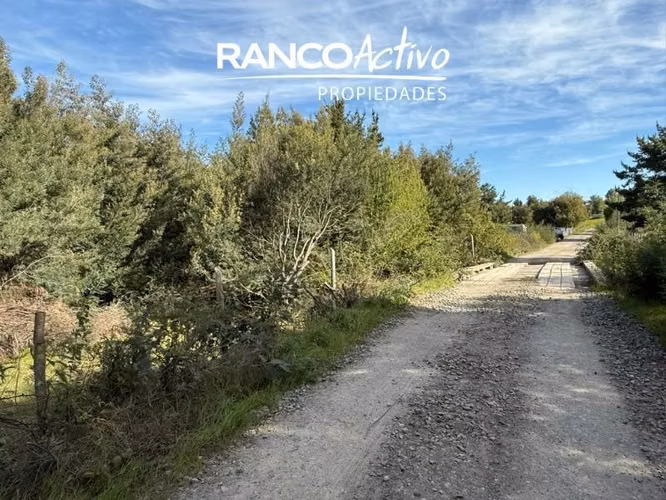 Parcela en venta en Quillón, acceso a estero, sector Chancal