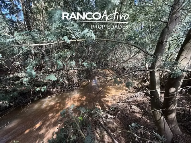 Parcela en venta en Quillón, acceso a estero, sector Chancal