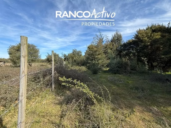Parcela en venta en Quillón, acceso a estero, sector Chancal