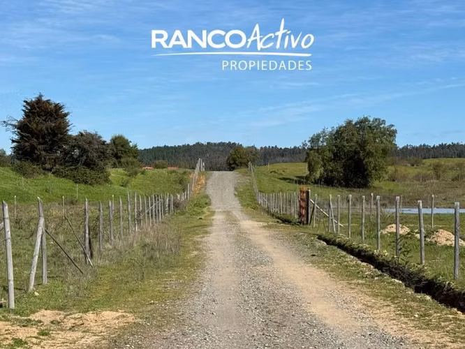 Parcela en venta en Quillón, acceso a estero, sector Chancal