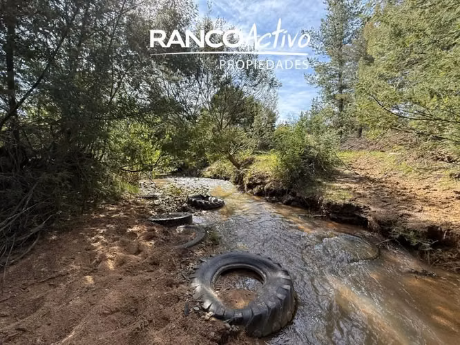 Parcela en venta en Quillón, acceso a estero, sector Chancal