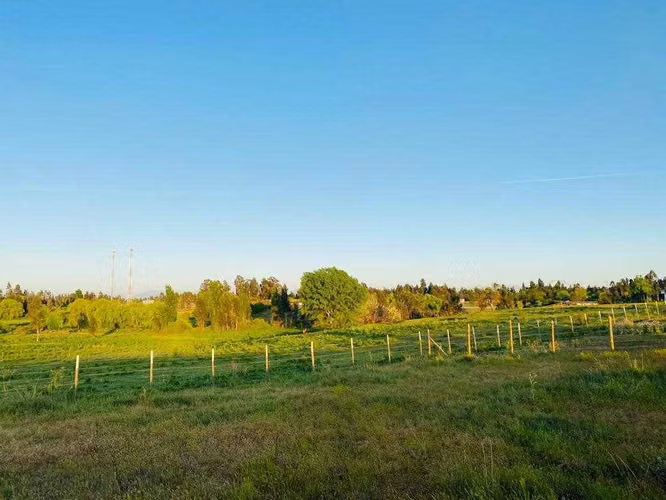 Se vende parcela de agrado San Rafael (161610) - Imagen 8
