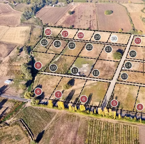 SE VENDEN PARCELAS LOTEO ALTO LOS ROBLES (161621)