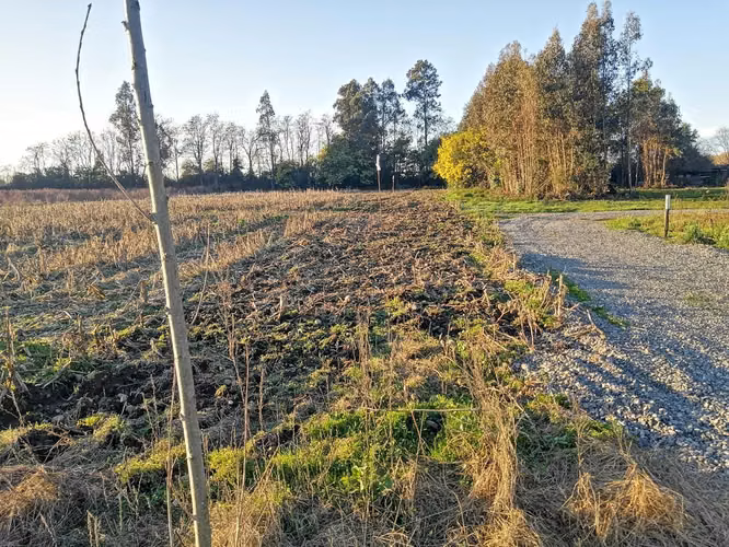 VENTA PARCELAS EN SECTOR SANTA RAQUEL CAMINO CATO