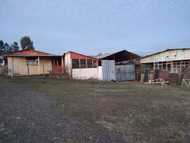 TERRENO AGRÍCOLA DE 31,3 HA EN VENTA, RÍO CLARO, MAULE