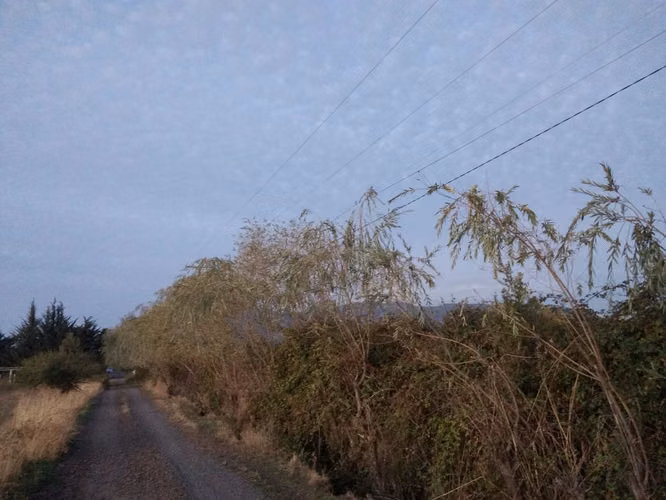 TERRENO AGRÍCOLA DE 31,3 HA EN VENTA, RÍO CLARO, MAULE