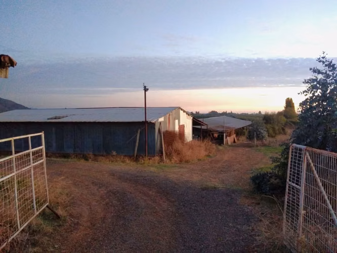 TERRENO AGRÍCOLA DE 31,3 HA EN VENTA, RÍO CLARO, MAULE
