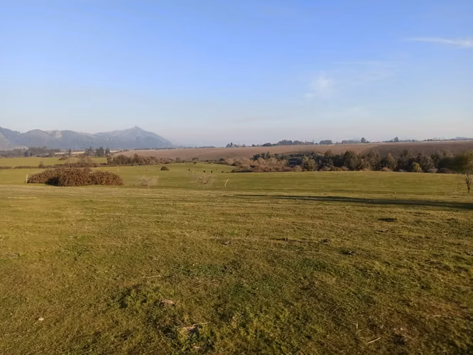 TERRENO AGRÍCOLA DE 199 HA CON AGUA, RIO CLARO, SAN GERARDO
