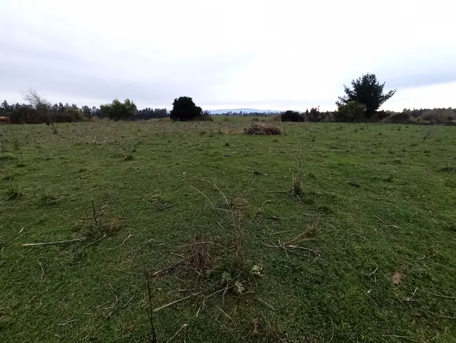 CAMPO AGRÍCOLA DE 199 HA CON AGUA, RIO CLARO, SAN GERARDO