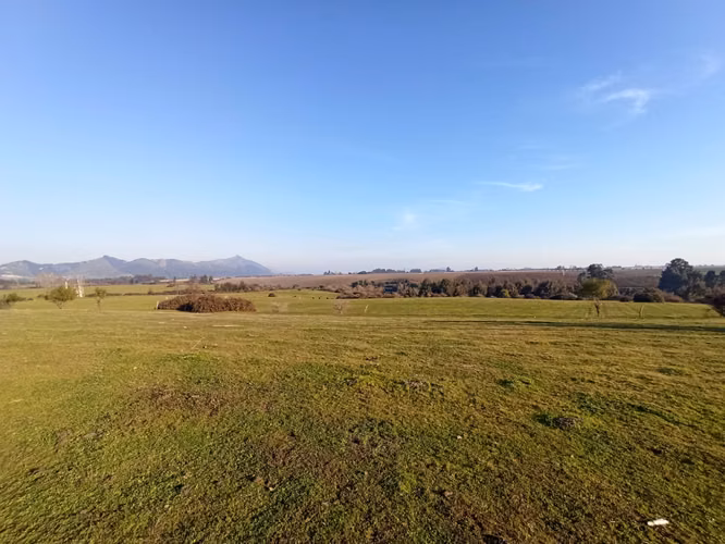CAMPO AGRÍCOLA DE 199 HA CON AGUA, RIO CLARO, SAN GERARDO