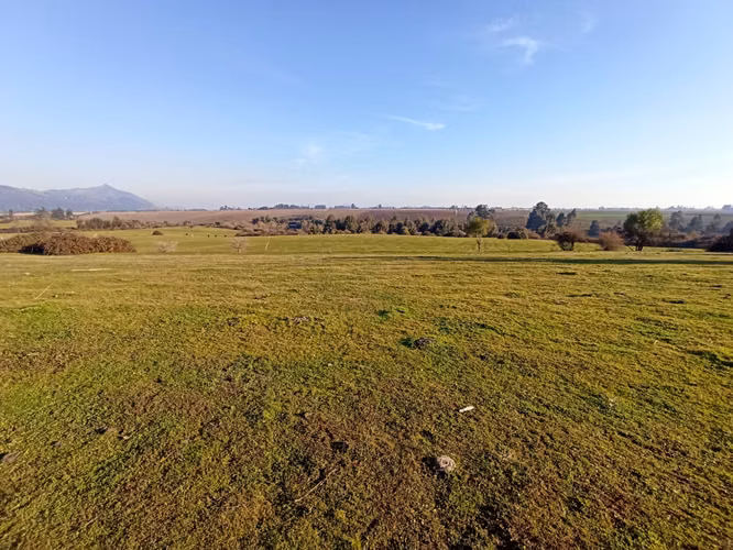 TERRENO AGRÍCOLA DE 199 HA CON AGUA, RIO CLARO, SAN GERARDO