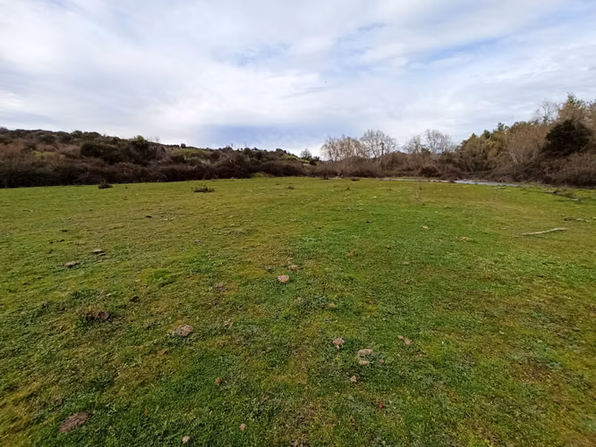 TERRENO AGRÍCOLA DE 199 HA CON AGUA, RIO CLARO, SAN GERARDO