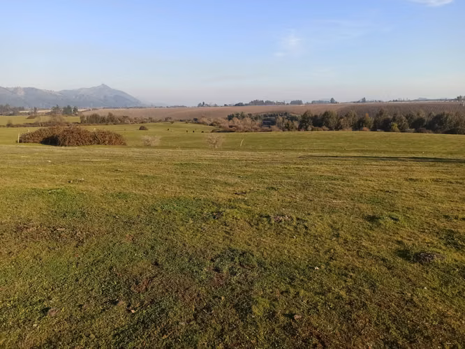 PROPIEDAD AGRÍCOLA DE 199 HA CON AGUA, RIO CLARO