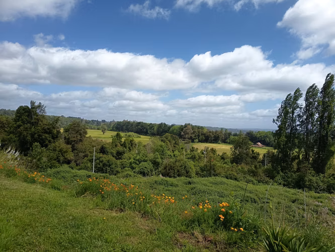 VIVE FRENTE AL LAGO RANCO CASA DE 4D Y 3B