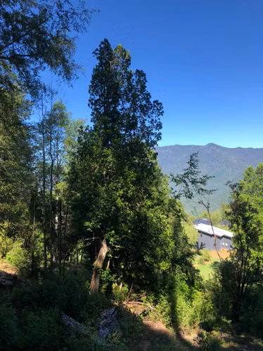 MARAVILLOSA PARCELA, VISTA AL VOLCAN, SE ACEPTAN OFERTAS